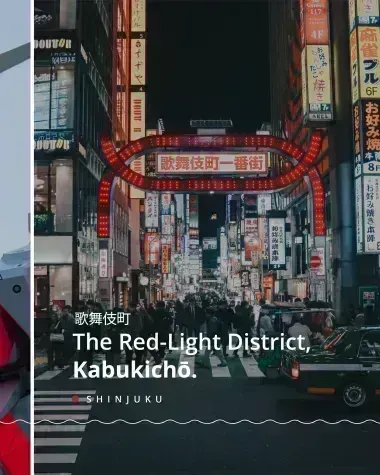 the red light district kabukicho