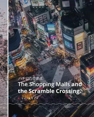 the shopping mall and the scramble crossing