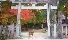 Nara 
