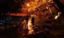 Couple se baladant au Korankei pendant les illuminations d'automne 