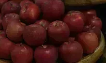 Aomori apples