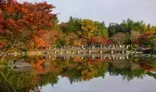 parc de Showa