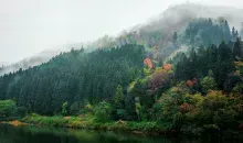 Paysage de rivière, de forêt et de montagne