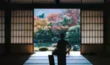 voyage seul au japon solo
