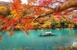 Fall leaves on Arashiyama river - Kyoto