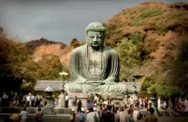 For nearly eight centuries, the great Buddha has watched over the ancient capital of Japan in Kamakura