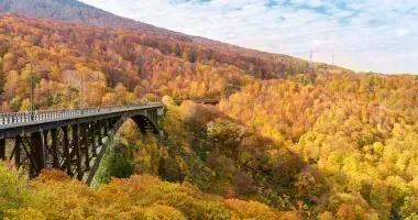 Pont au couleur du Printemps, Aomori