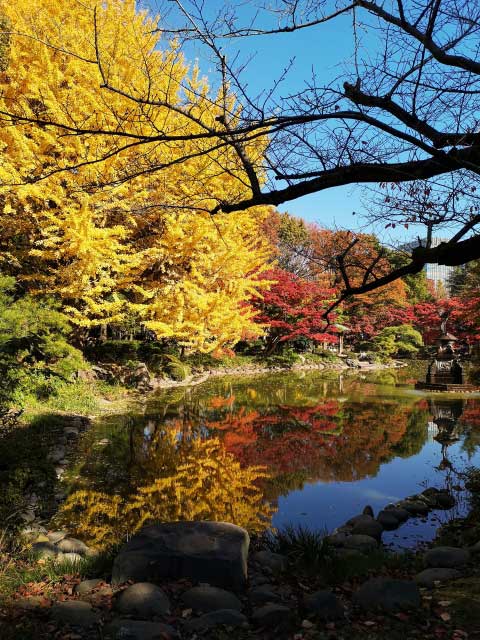 Willow, pine and pond in Hibiya Park, Tokyo.