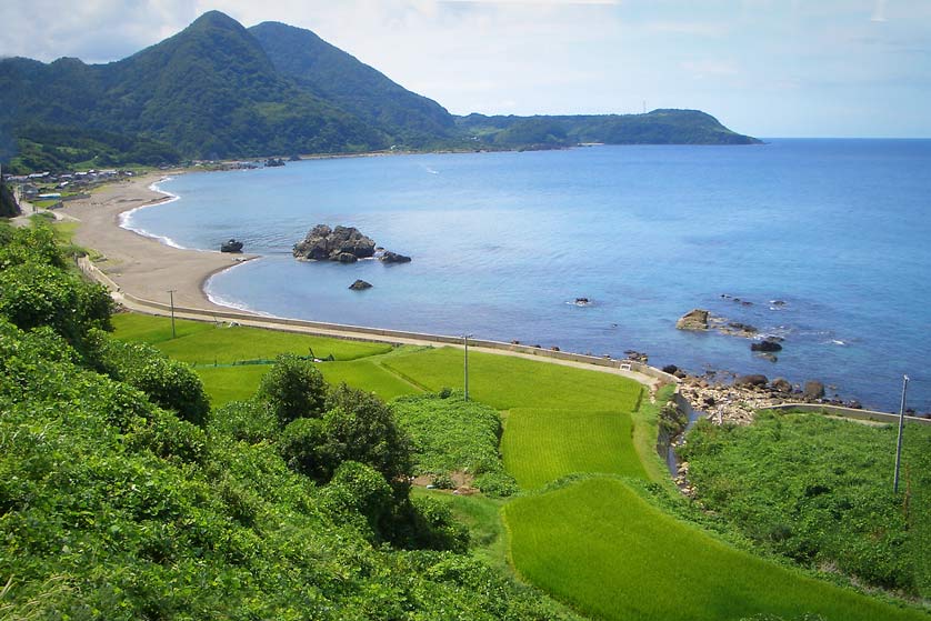 Sado Doburoku: Iwayaguchi Bay with rice fields in summer.