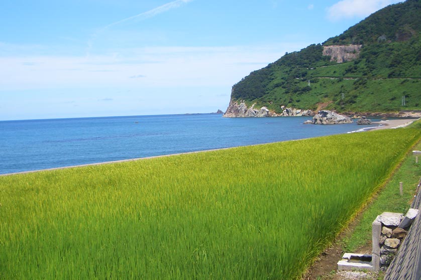 Coastal rice paddies, Sado Island, Niigata Prefecture.