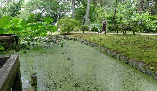 Kyoto Botanical Garden, Kyoto, Japan.