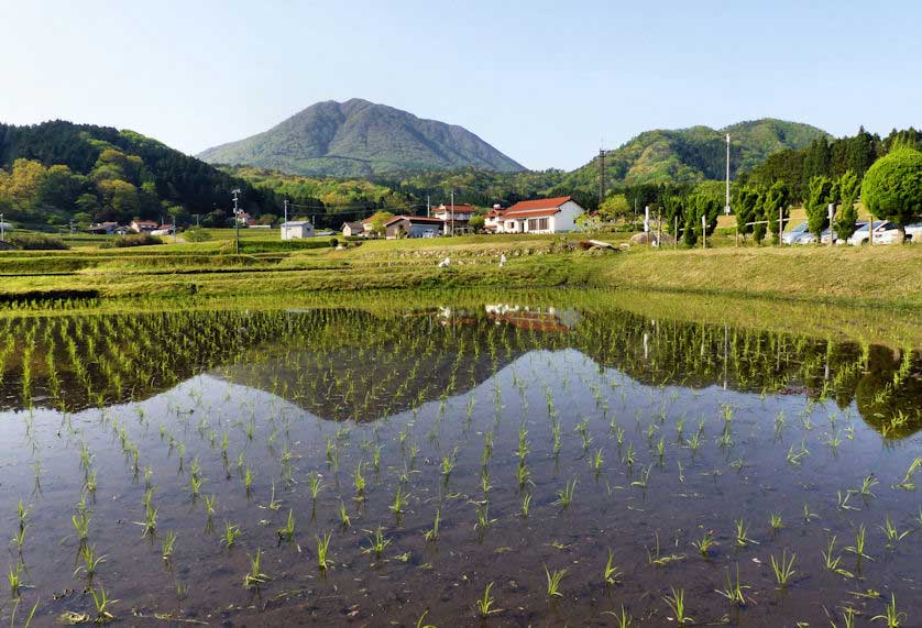 Japanese geography, Sado Island rice fields.