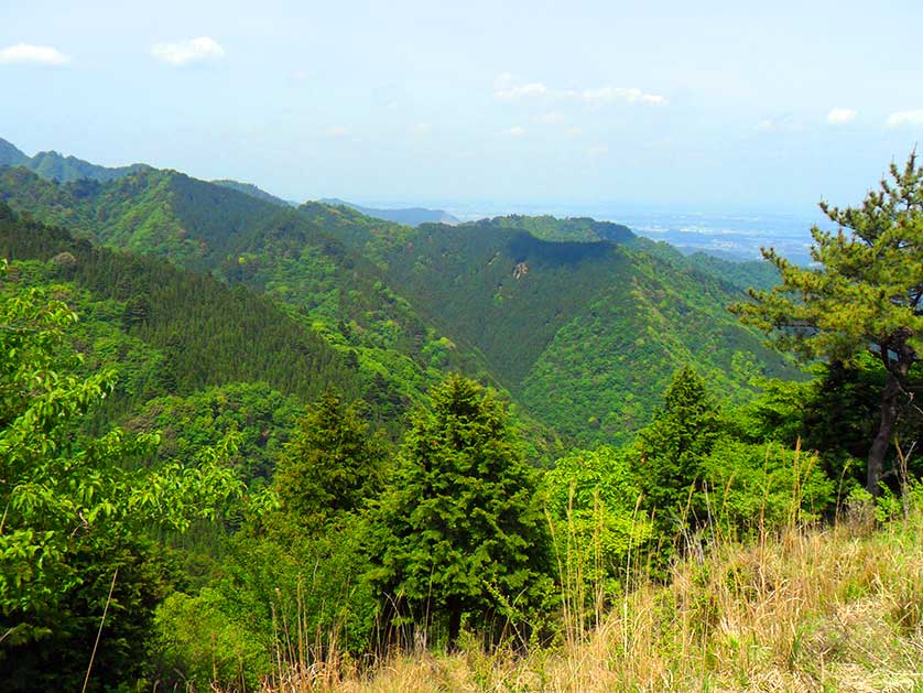 Mt. Oyama, Kanagawa Prefecture, Japan.