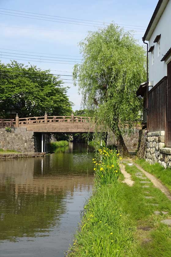 Omi Hachiman's canal.