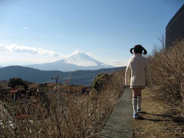 View of Mt Fuji Little Prince Museum.