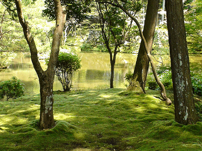 Saihoji Moss, Kyoto