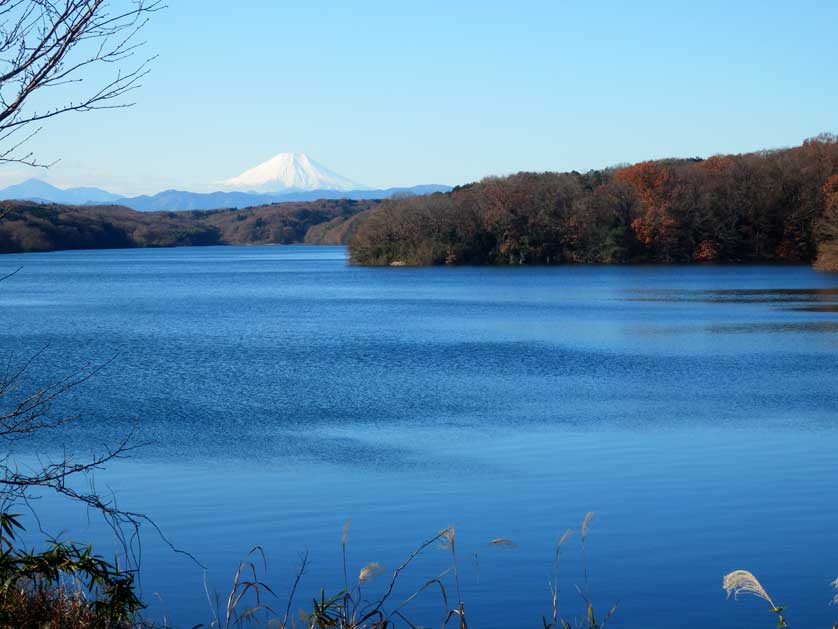 Sayama Lake, Saitama Prefecture, Kanto, Japan.