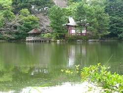 Sampoji Pond, Shakujii Park, Tokyo.