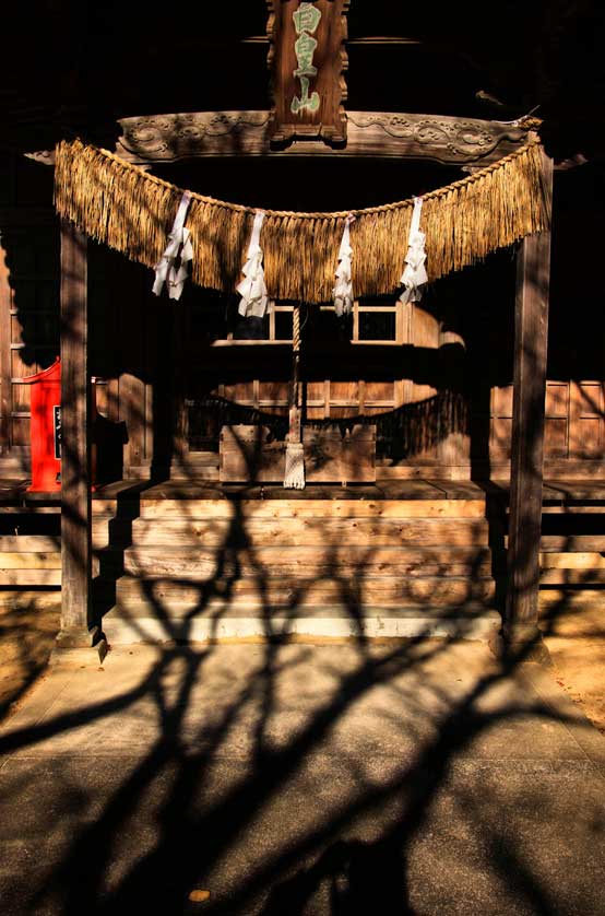 Shimenawa at a shrine in Ehime shows the fusa, tassels, taken to the extreme of a fringe.