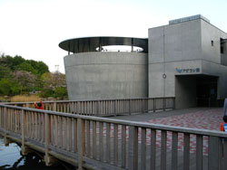 Shinagawa Aquarium, Shinagawa Kumin Park, Tokyo.