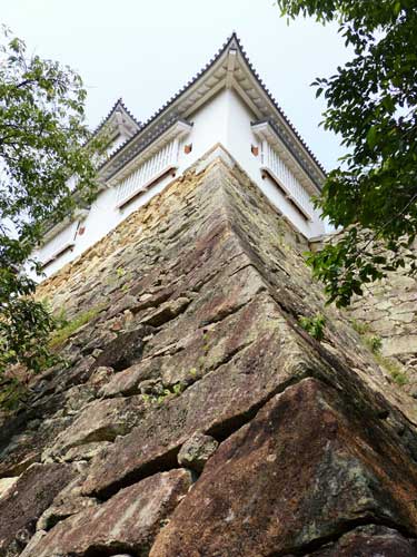 Tsuyama Castle, Okayama.