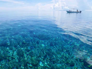 Coral reefs through the clear water of Iriomote Island