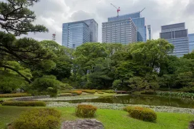 Pond in Imperial Palace gardens with skyscrapers in the background