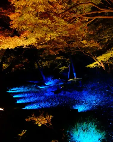 Illuminations de nuit au parc Rikugien, Tokyo