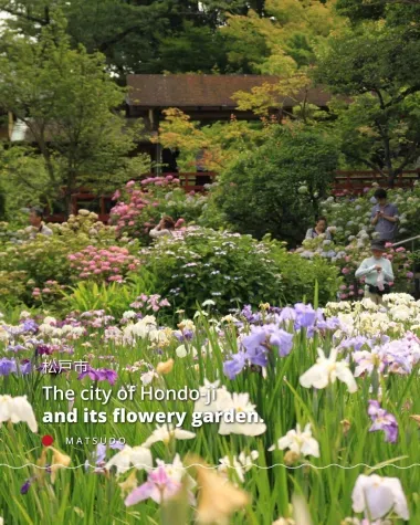 The city of Hondo-il and its flowery garden.