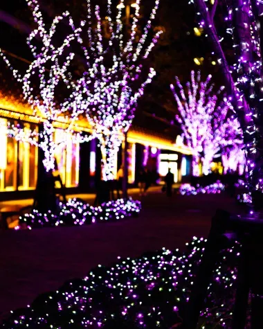 Illuminations de Noël à Hibiya 