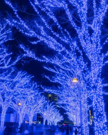 Illuminations du Shibuya blue cave 