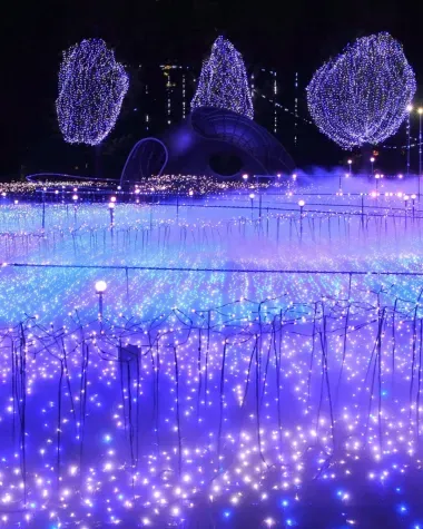Illuminations de Noël au Tokyo Midtown 