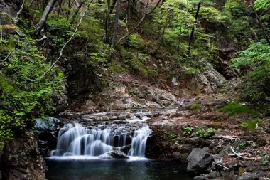 tochigi chutes d'eau nikko nature paysage