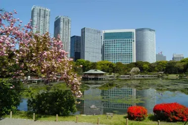 « Site historique spécial », le jardin Hama-Rikyu Onshi Teien est l’ancienne réserve de chasse des Tokugawa. 