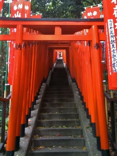 The tunnel of the torii shrine Hie-Jinja.