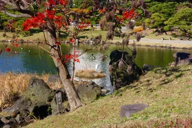 Les bords de l'étang du jardin Kyu Shiba Rikyu