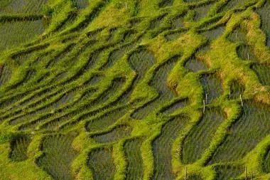 Rice terraces near Wajima