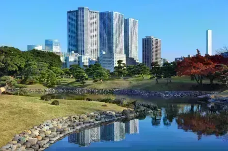 Hamarikyu-Gärten: Einer von Tokio muss man gesehen haben