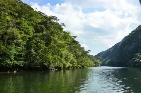 Die Insel Iriomote ist eine der letzten Wildnisparadiese in Japan