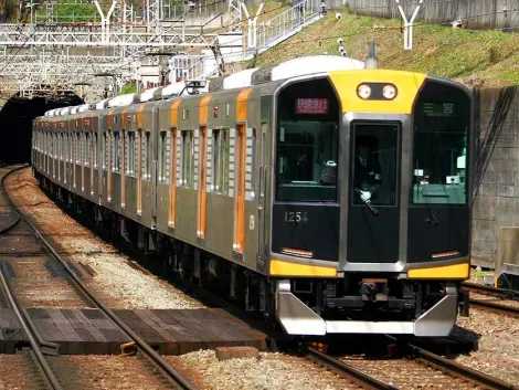 Hanshin Rapid Express Kosoku Train