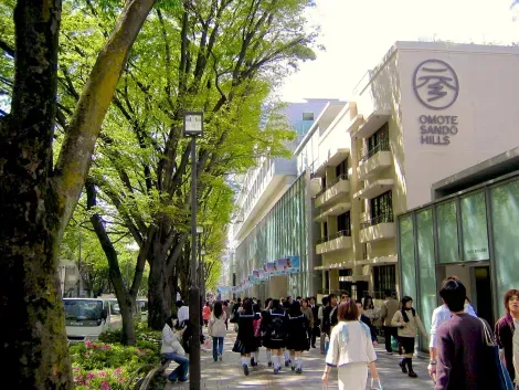 L'avenue Omotesando est devenue la vitrine des grandes marques internationales.