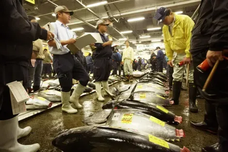 La célèbre vente aux enchères de thons rouges est le moment le plus important du marché de Tsukiji.