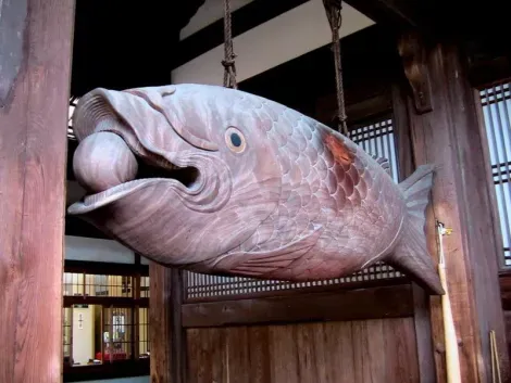 A wooden fish to Manpukuji Temple (Kyoto).
