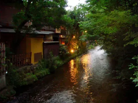 The machiya, the traditional houses on the banks of Shinbachi.
