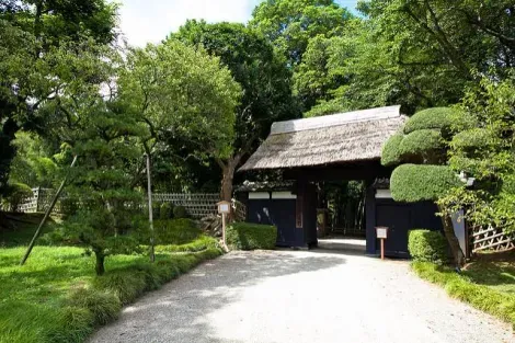 A path in Kairaku-en garden