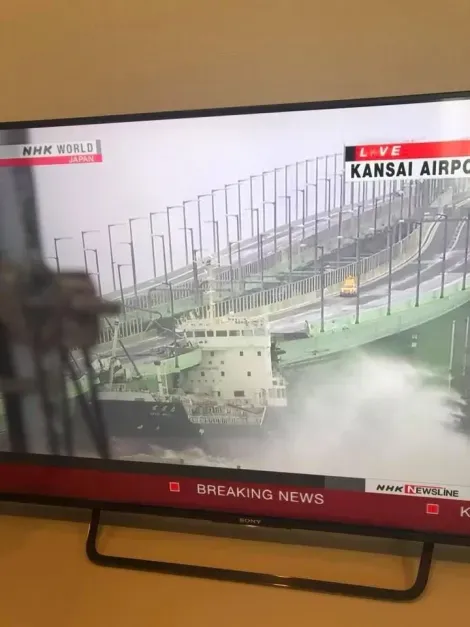 Les news passent en boucle les images du typhon