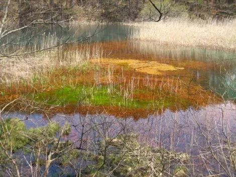 Un des étangs colorés de Goshikinuma