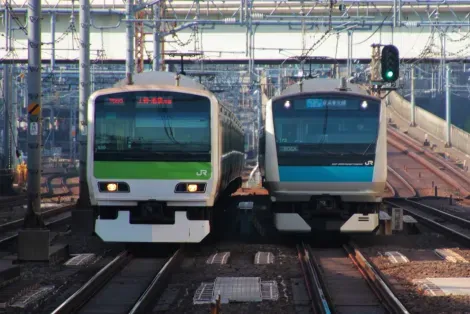 Trains Yamanote et Keihin-Tôhoku en parallèle