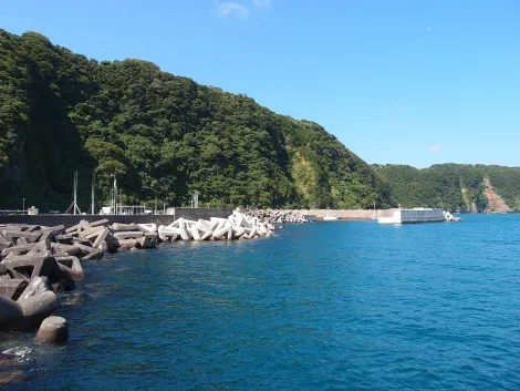 Le port Okata de l'île Izu Oshima