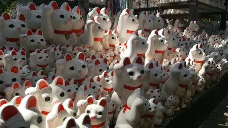 Les chats porte-bonheurs de Tokyo